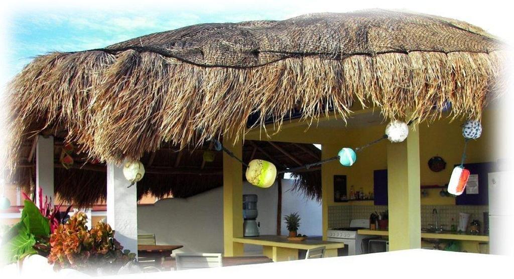 Coral Reef Inn Cozumel Bagian luar foto